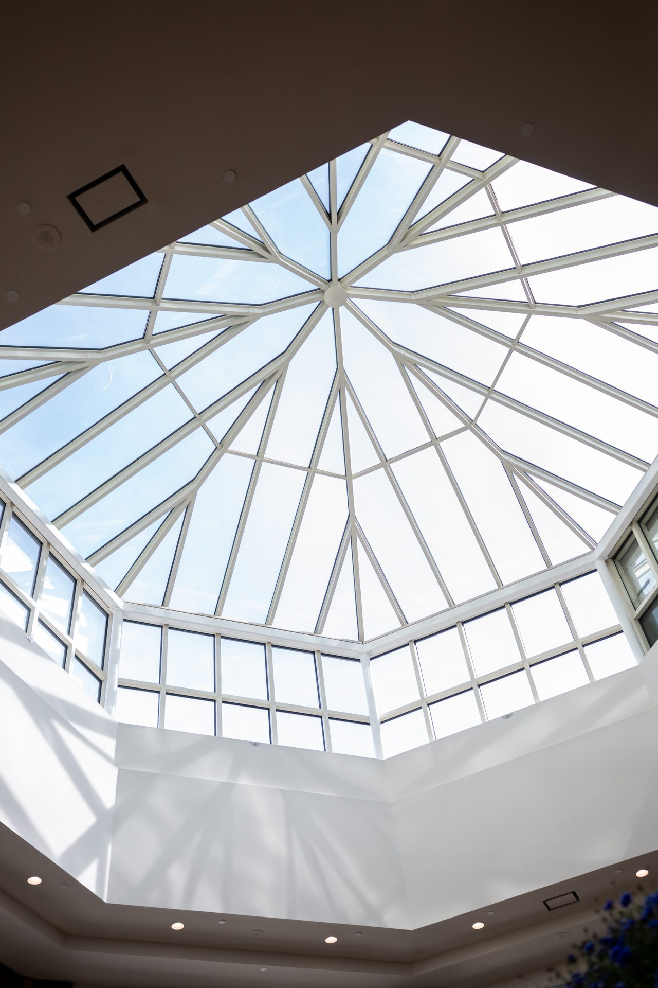 The Skylight