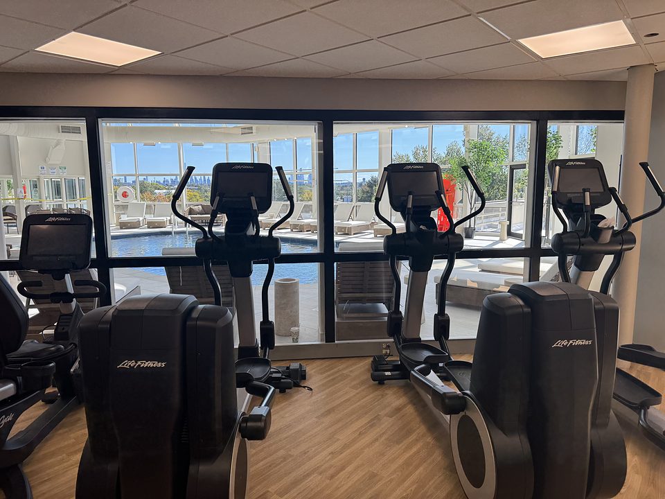 Ellipticals by the windows in the fitness room